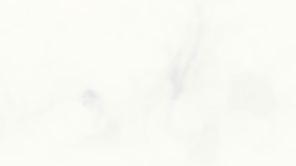 fondo.png