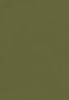 watercolor-paper-23_ olive green.jpg