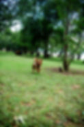Photo 2024-01-26, 17 42 48.jpg