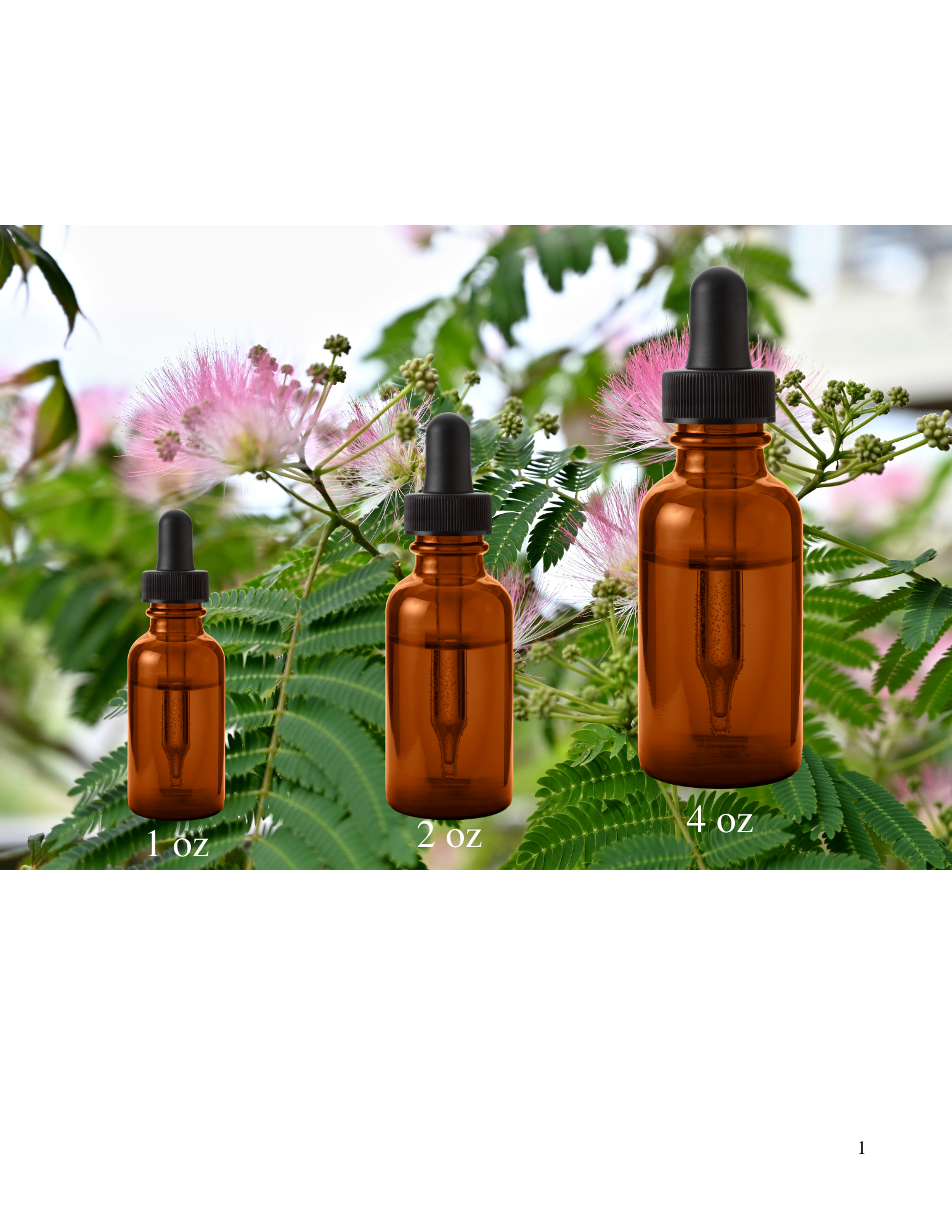 Mimosa Flower Tincture 1 oz