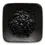 Thumbnail: Dehydrated Elderberries Wild Foraged 9oz
