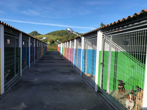 Canil Ponta Delgada