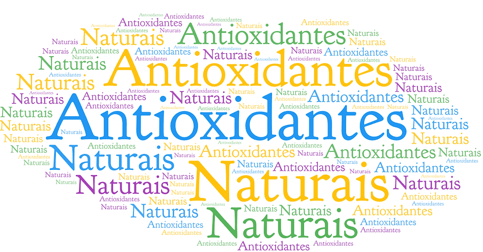 Venda de TCC - dissertação em Antioxidantes Naturais