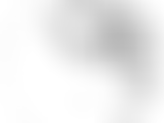 5 sugestões de TCC em Teoria Social Contemporânea