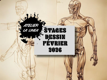 Stages de dessin - Février 2026