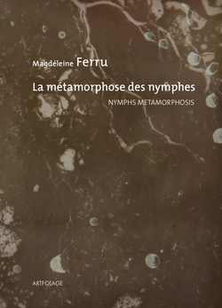 Métamorphose des nymphes