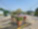 20240515_095828.jpg