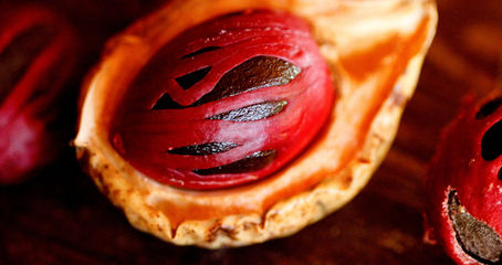 Why it is so important to have Nutmeg at home?