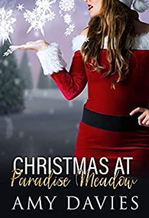 ChristmasAtPradiseMeadows.jpg