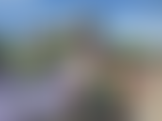 Teri The Curious, Cutest, Triathlete