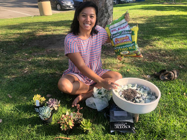 Reflections on Six Months: Part II (more Teri Videos)