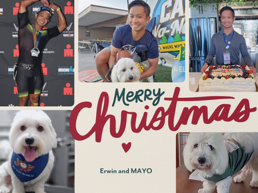 Holiday Season Reflections