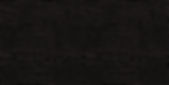 AlligatorSkin_black sm.jpg