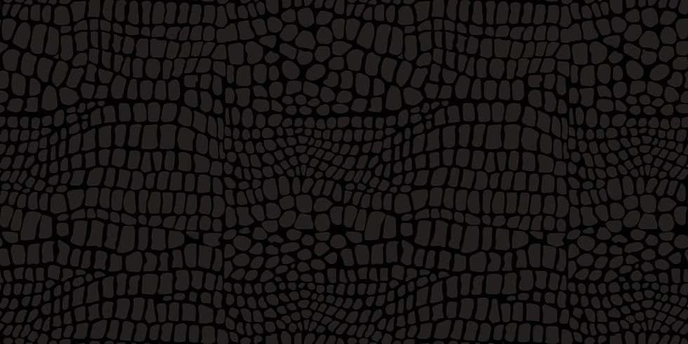 AlligatorSkin_black sm.jpg