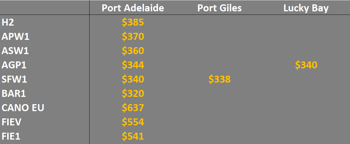 grain prices in the main ports in SA & Vic