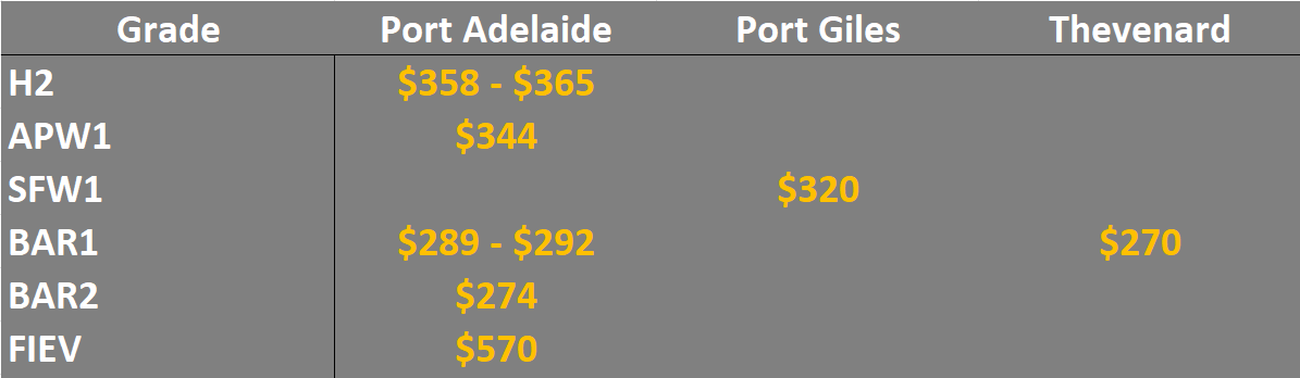 grain prices in the main ports in SA