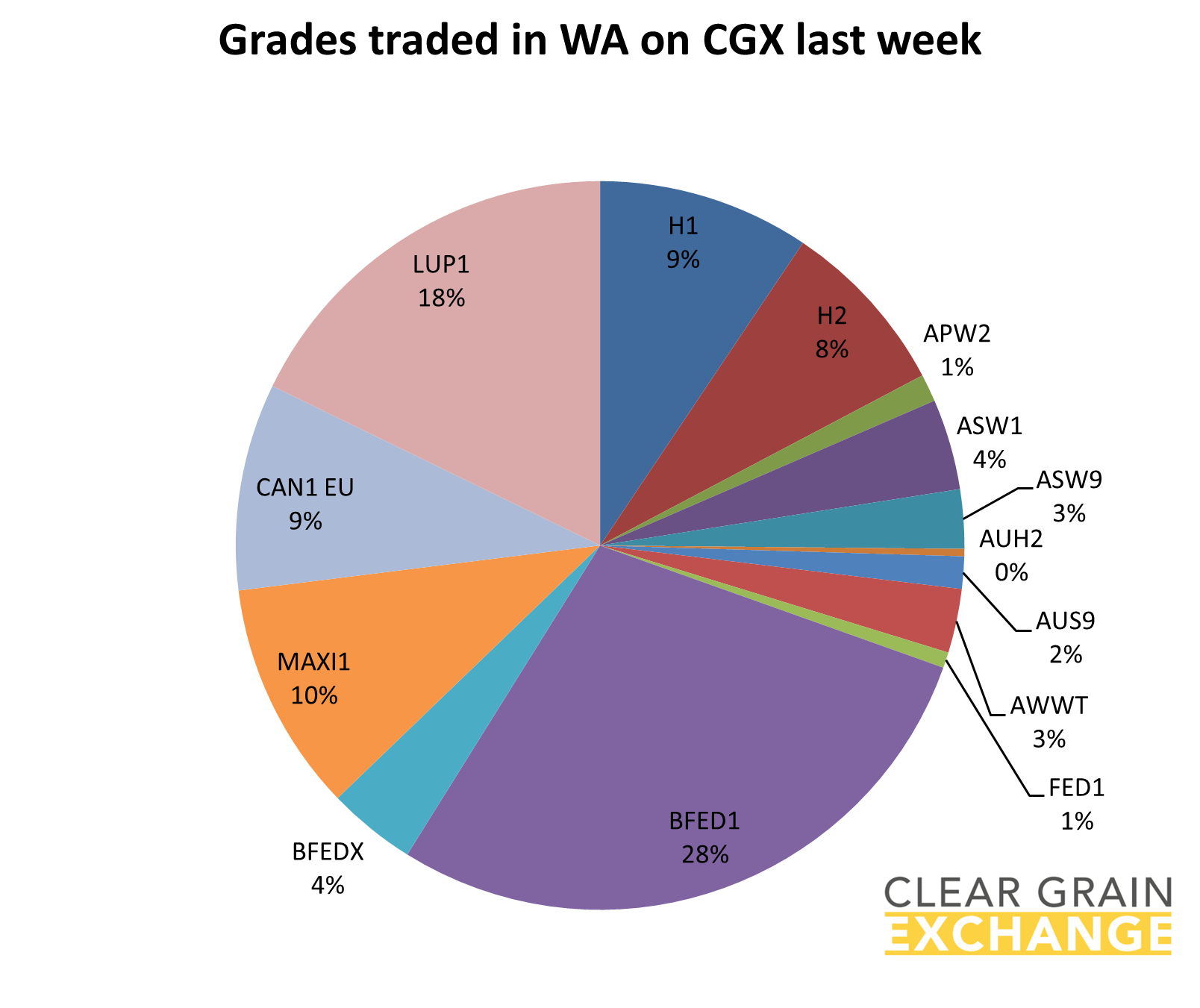 grain commodities traded in QLD on Clear Grain Exchange