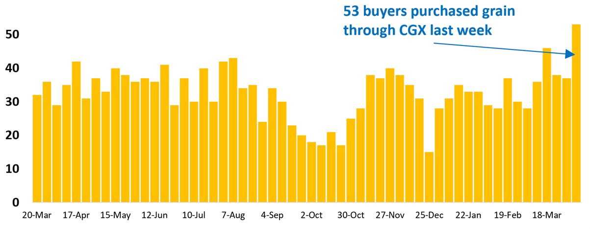53 buyer businesses purchased grain through Clear Grain Exchange (CGX) last week. More buyers were searching for grain offered for sale.