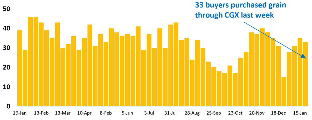 33 buyer businesses purchased grain through Clear Grain Exchange (CGX) last week. More buyers were searching for grain offered for sale.