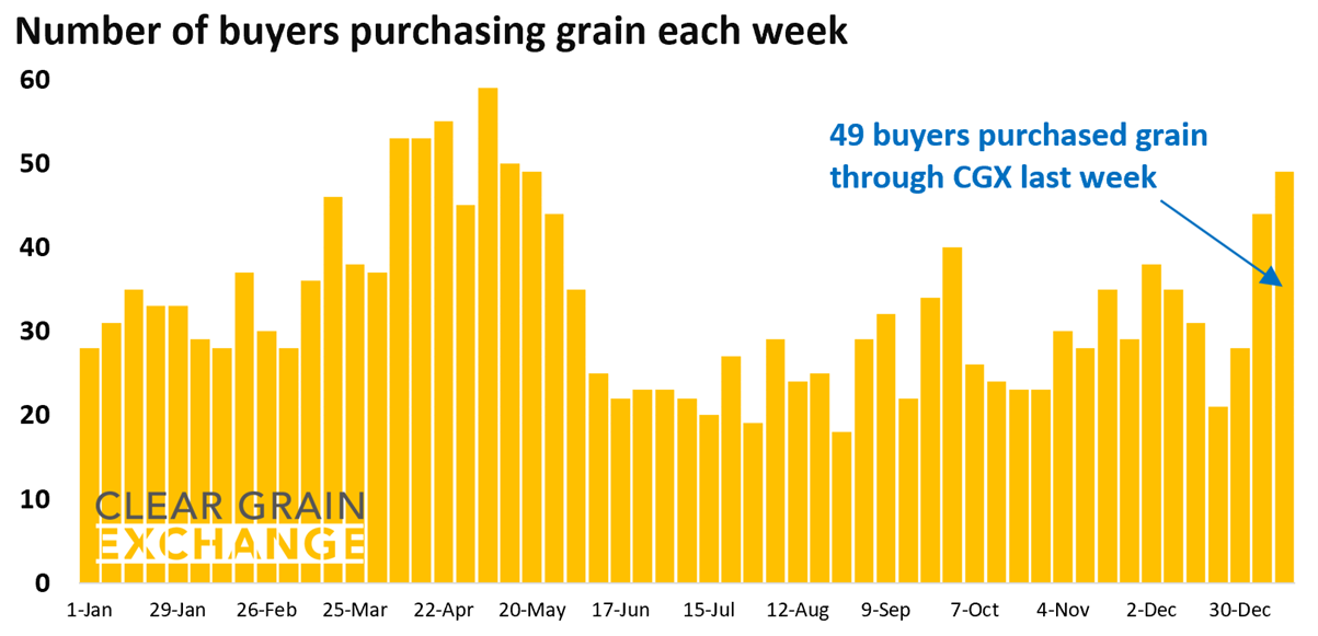 27 buyer businesses purchased grain through Clear Grain Exchange (CGX) last week. More buyers were searching for grain offered for sale.