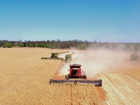 Demand supports grain prices - Cropping update October