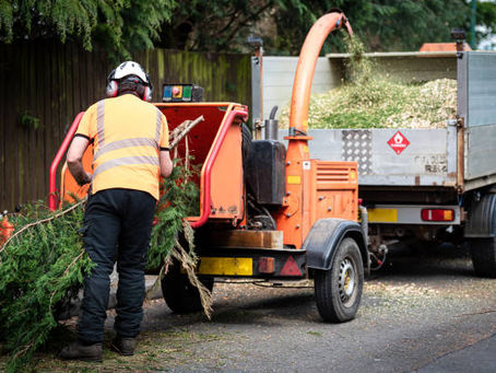 How to Find Reliable Crane Services in Your Area?