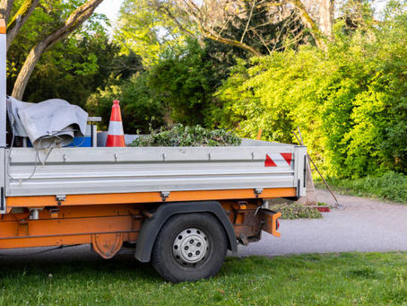 Professional Tree Removal Services in Scottsdale, AZ – Safe & Reliable Solutions
