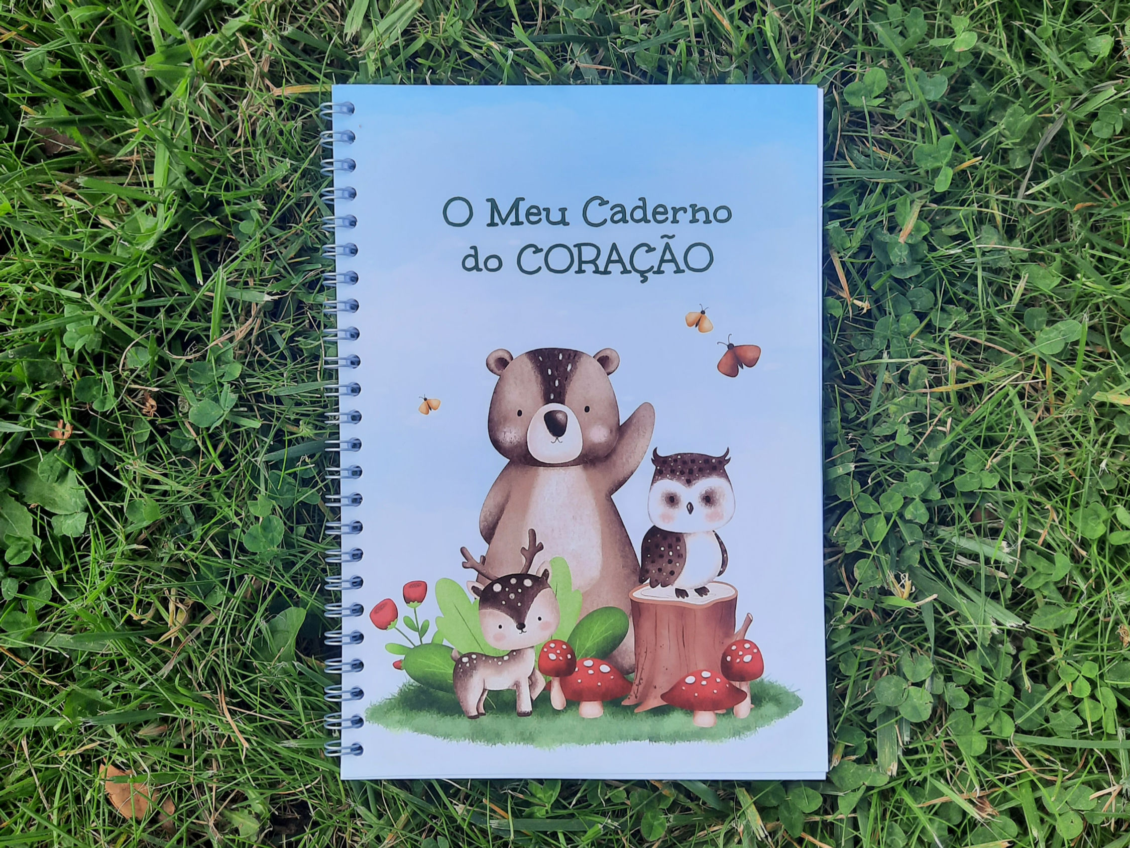 O Meu Caderno do Coração
