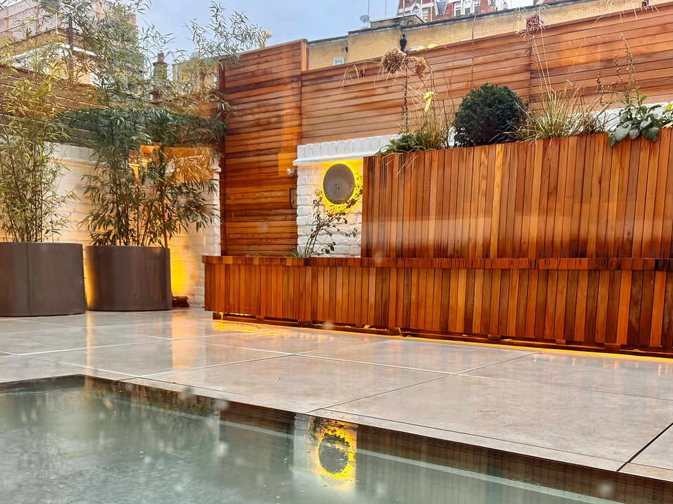 Garden view on a rainy day with a bespoke storage bench in cedar slat cladding and feature outdoor lighting