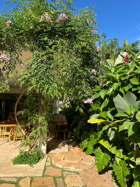 Jardim com vegetação muita densa, mistura de folhas grandes e texturas tropicais criando um maciço verde