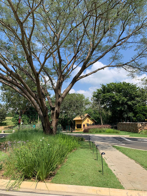Projeto de paisagismo naturalista e diverso para portaria de condominio em Jaguariuna