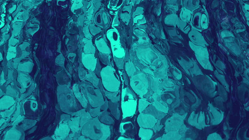 water3_1-ezgif.com-video-to-gif-converter (1).gif
