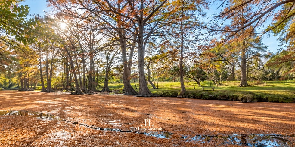 5 October Plans in Texas That Aren’t Another Pumpkin Patch or Haunted House