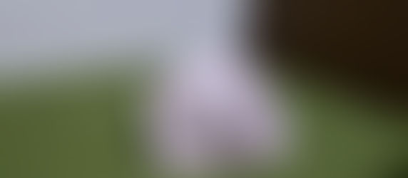 MASK from TANMONO - Japanese KIMONO Textile -