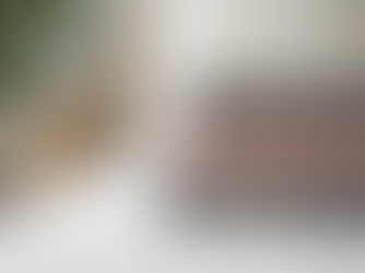 Discover Gretchen Redd's Captivating Modern Romance Novels