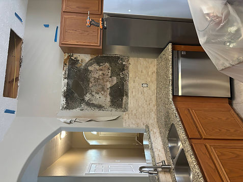 mold in kitchen (1).jpeg