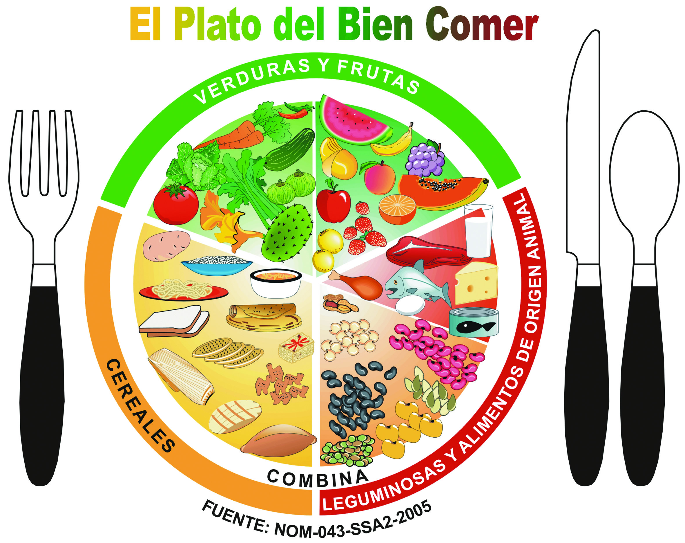 Grupos De Alimentos Sintiendotesaludable