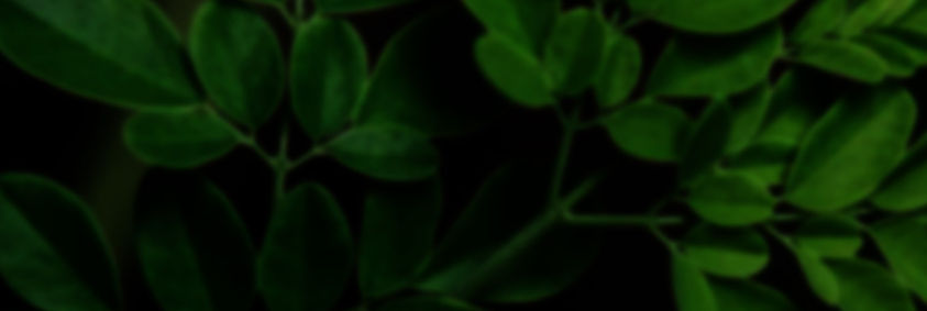 P02 Sec02 01.jpg