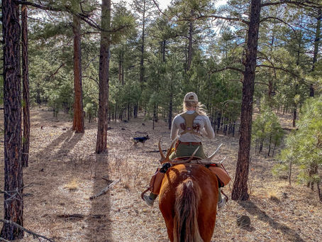 Shed hunting off horseback: First time traveling long distance