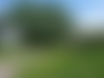 【优质多用途农场出售】优质项目同样适合海外买家!