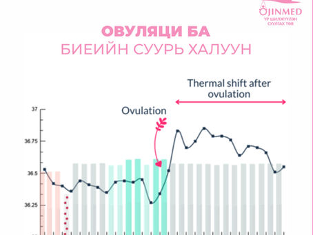 Жирэмслэх магадлалтай өдрөө хэрхэн тодорхойлох вэ?