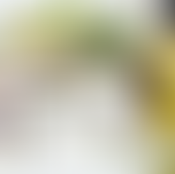 🌿 Sheffield’s Natural Skincare Scene Is Glowing – and So Are You