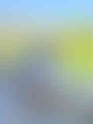 Are you a couple planning a wine-tasting trip to Sonoma & Napa Valley California?! Then you are in the right place! Whether you are on your honeymoon or celebrating your wedding anniversary, Rich & Kitch - your luxury travel advisors - have the perfect itinerary for your trip to Northern California wine country!