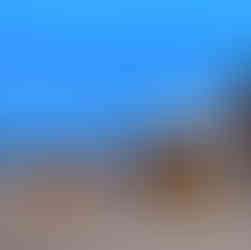 Rich & Kitch's favorite bar to spend an afternoon day drinking on the beach is Tabasco Beach Bar. It is more low-key, but offers reasonably priced drinks (compared to other bars on Medano Beach) and has good beach food! The servers are very kind & the bartenders know how to pour the drinks strong (especially if you don’t order off of the 2x1 menu), so you’ll be in good hands. They have nice restrooms (which are hard to come by on the beach) and they have beach chairs you can lounge at during the day.