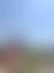 Are you a couple planning a wine-tasting trip to Sonoma & Napa Valley California?! Then you are in the right place! Whether you are on your honeymoon or celebrating your wedding anniversary, Rich & Kitch - your luxury travel advisors - have the perfect itinerary for your trip to Northern California wine country!