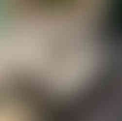 Chileno Bay Resort Cabo, luxury resorts Cabo San Lucas, swimmable beach resorts Cabo, top Auberge resorts Mexico, best snorkeling beaches Cabo, COMAL restaurant Cabo, YAYA restaurant Cabo, Hello Fora travel perks Cabo, destination weddings Cabo San Lucas, honeymoon resorts Cabo, anniversary trips Los Cabos, beachfront luxury resorts Mexico, tropical luxury vacations Cabo, top-rated spa resorts Cabo, family-friendly luxury villas Cabo, romantic getaways Cabo San Lucas, exclusive travel advisor perks Cabo, Auberge Resorts Collection Chileno Bay, Cabo resorts with private villas, beachfront luxury in Cabo.