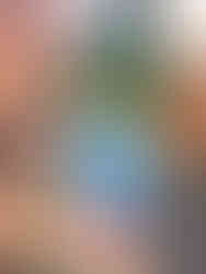 Are you a couple planning a wine-tasting trip to Sonoma & Napa Valley California?! Then you are in the right place! Whether you are on your honeymoon or celebrating your wedding anniversary, Rich & Kitch - your luxury travel advisors - have the perfect itinerary for your trip to Northern California wine country!