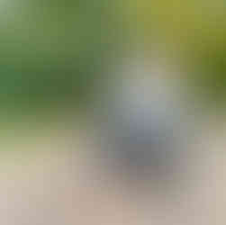 Rich & Kitch Wedding & Holiday Gift Guide: Scout & Cellar Clean-Crafted Wine