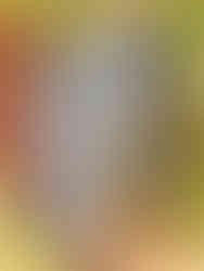 Are you a couple planning a wine-tasting trip to Sonoma & Napa Valley California?! Then you are in the right place! Whether you are on your honeymoon or celebrating your wedding anniversary, Rich & Kitch - your luxury travel advisors - have the perfect itinerary for your trip to Northern California wine country!