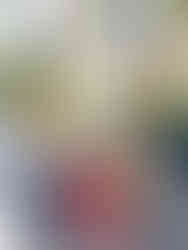 Are you a couple planning a wine-tasting trip to Sonoma & Napa Valley California?! Then you are in the right place! Whether you are on your honeymoon or celebrating your wedding anniversary, Rich & Kitch - your luxury travel advisors - have the perfect itinerary for your trip to Northern California wine country!